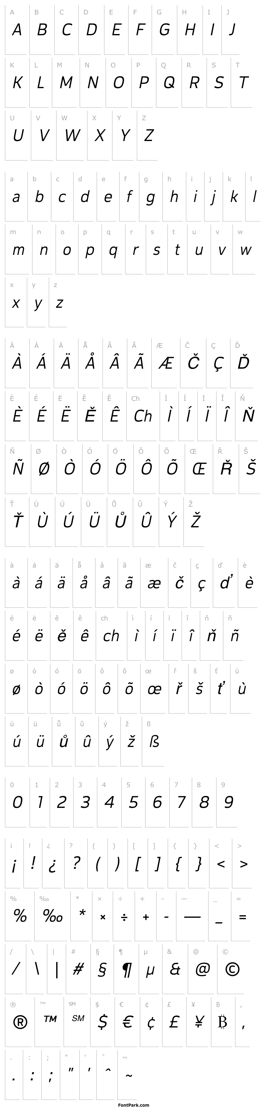 Přehled CorpTrial-RegularOblique