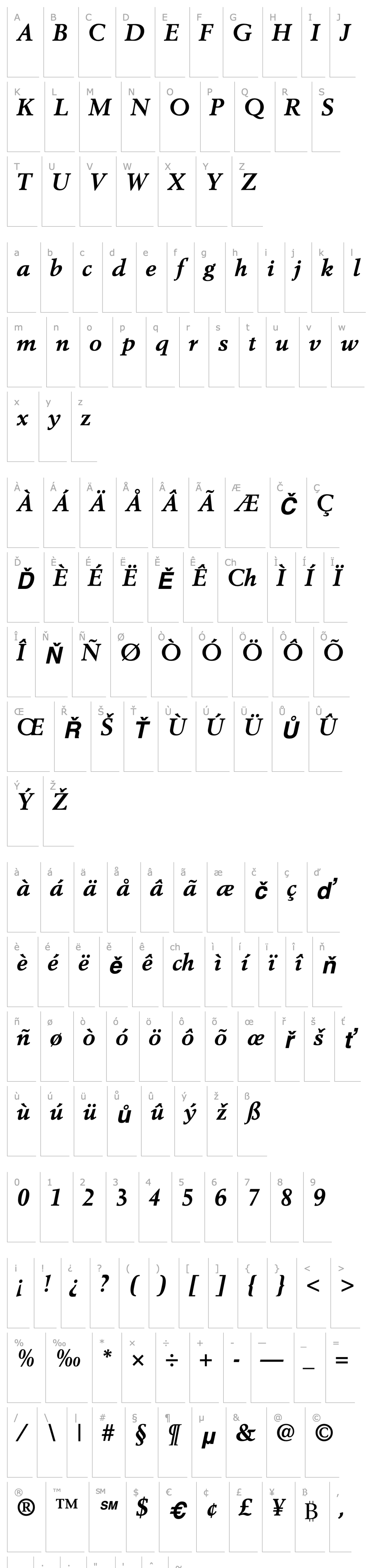 Overview Cortex SSi Bold Italic