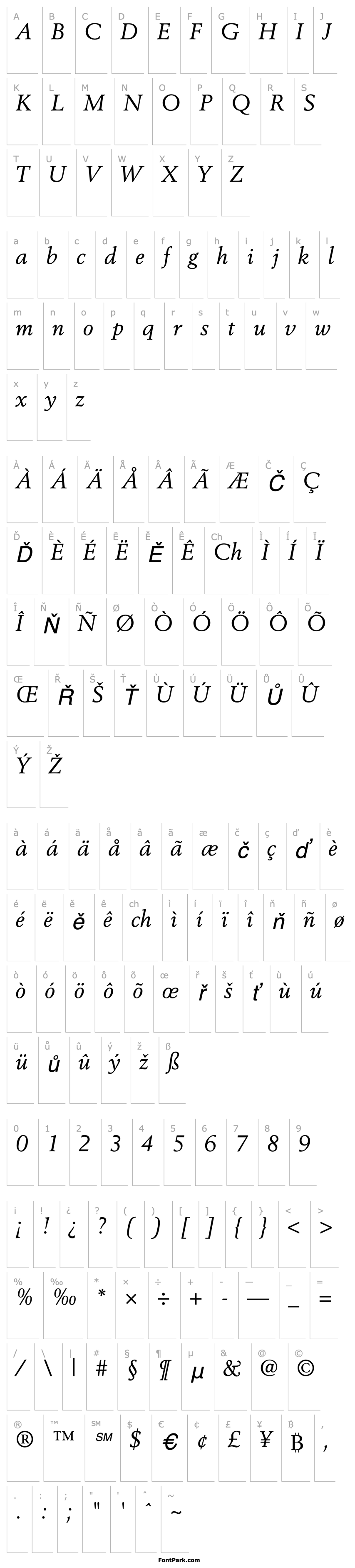 Overview Cortex SSi Italic