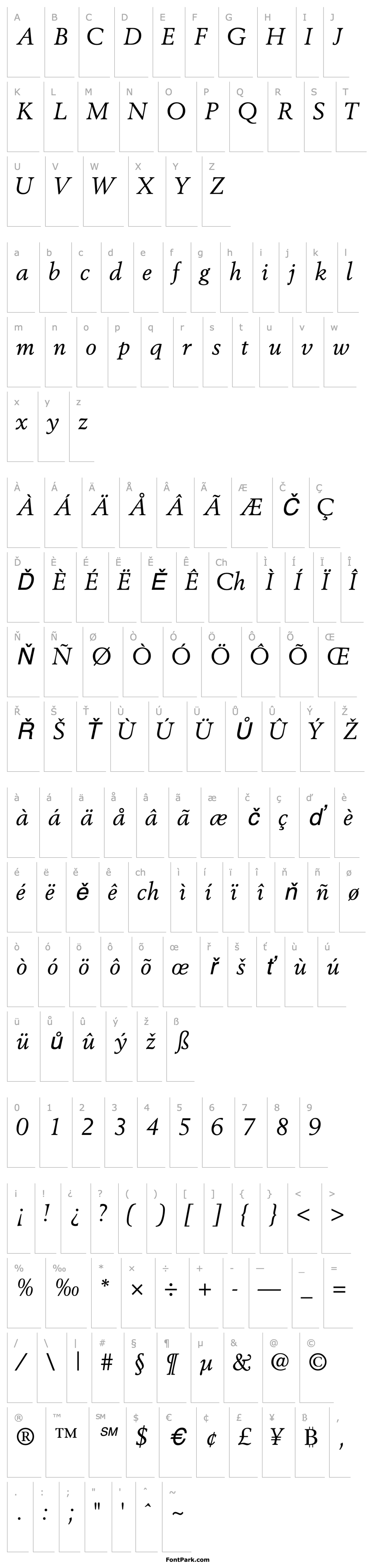 Overview CortexSSK Italic