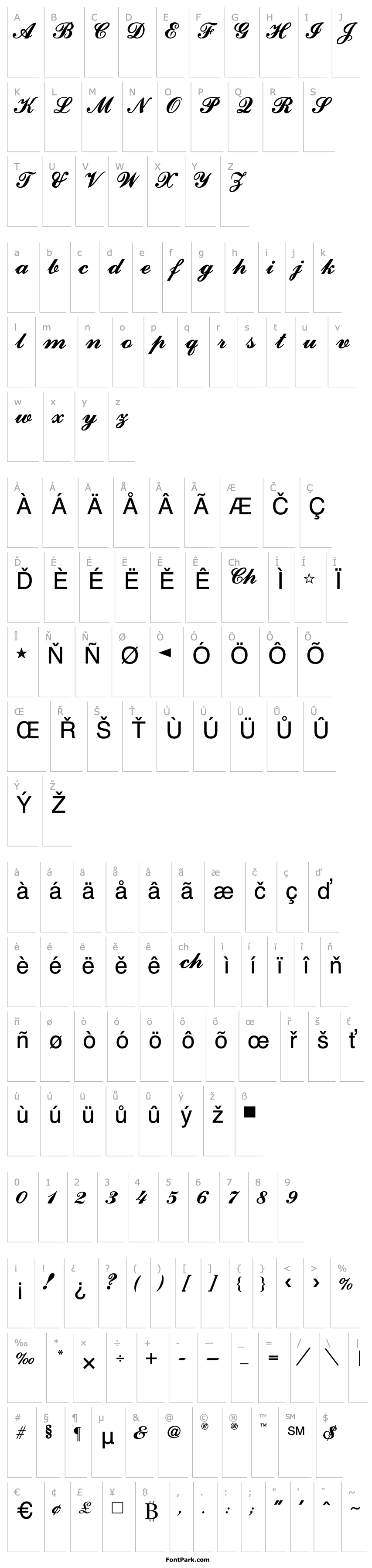 Přehled CounselorScript Medium