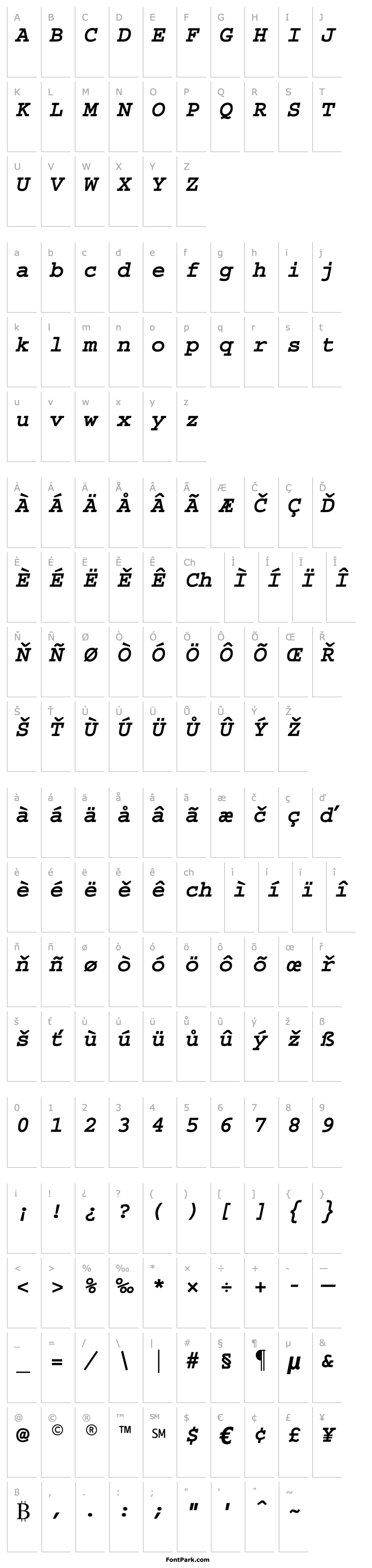 Overview Courier Bold Italic