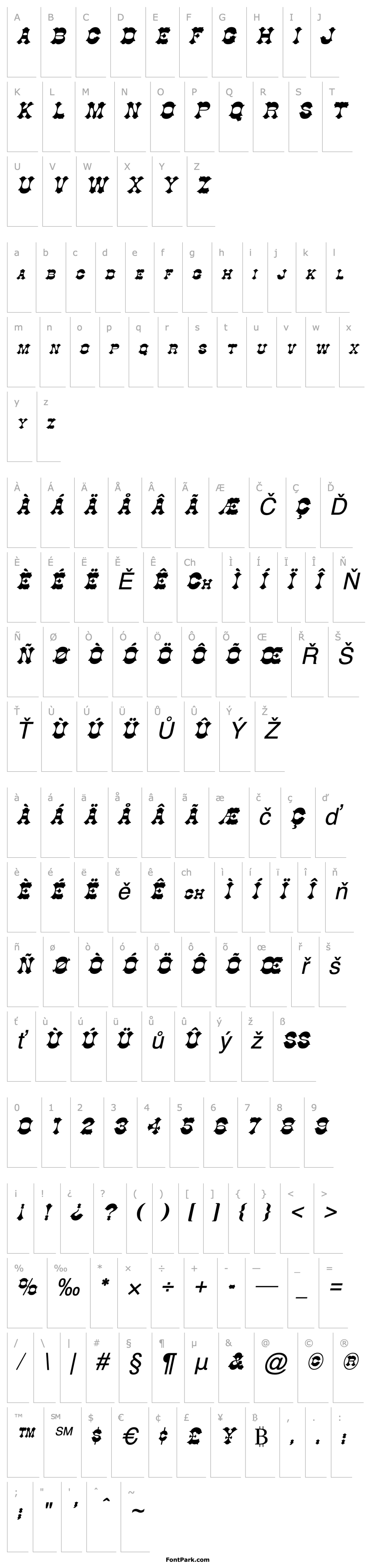 Overview Cowboy Italic