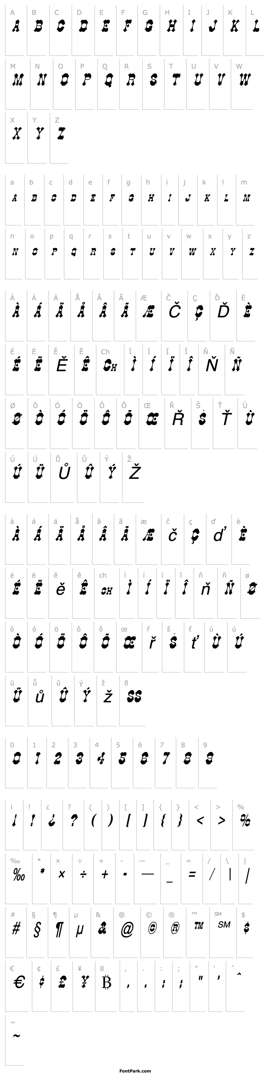 Overview Cowboy Thin Italic