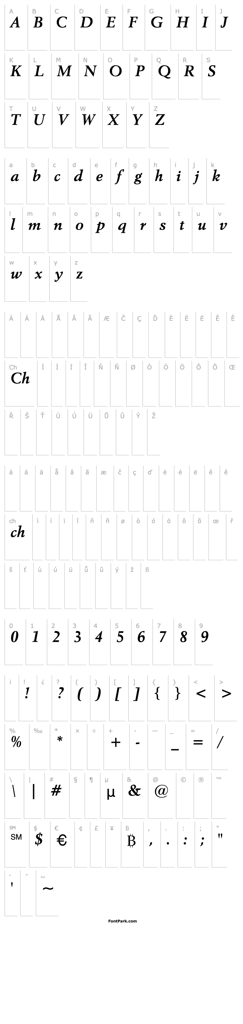 Overview CoyGarr Bold Italic