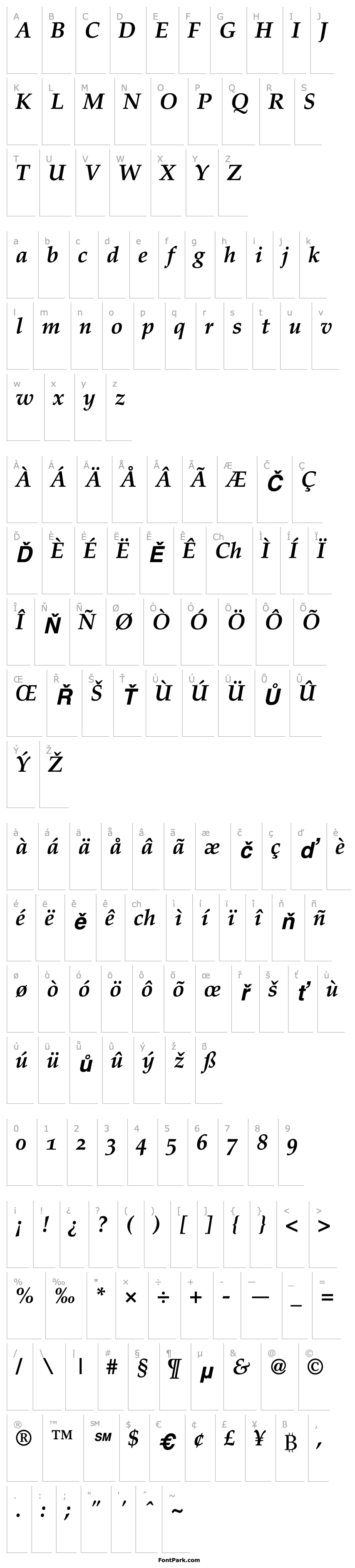 Overview Criteria SSi Bold Italic Old Style Figures