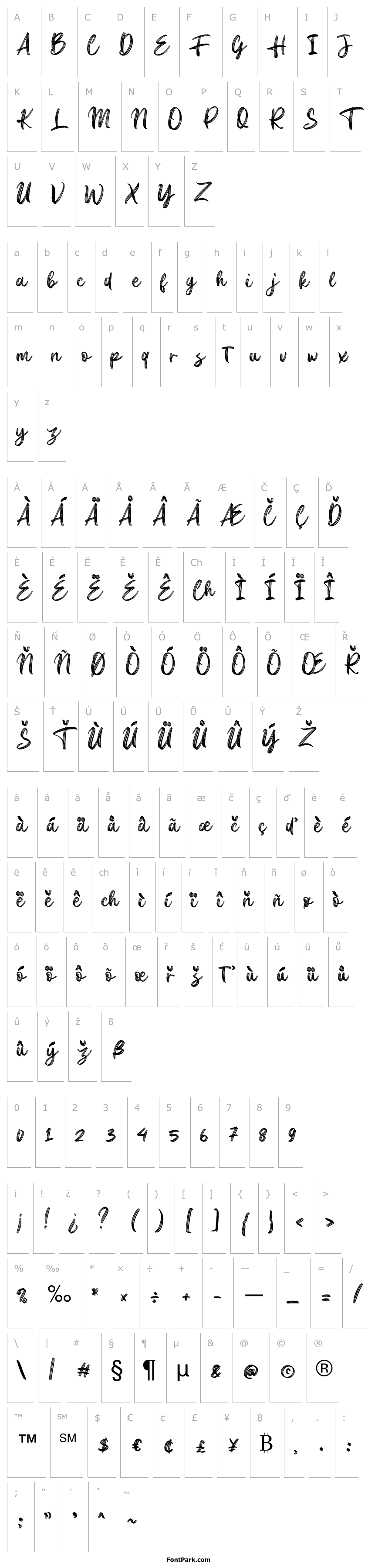 Přehled Crocky Regular