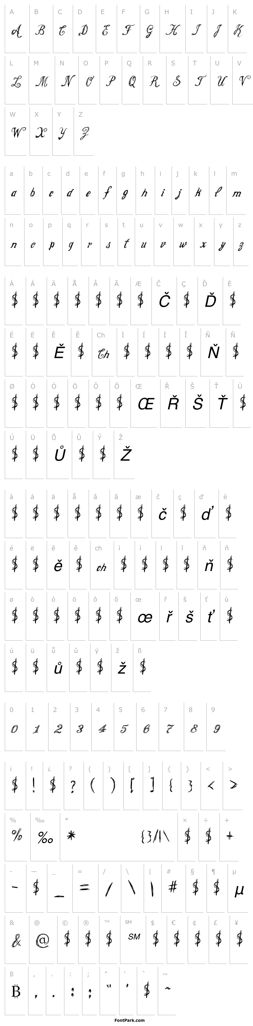Přehled Cursive Option Italic