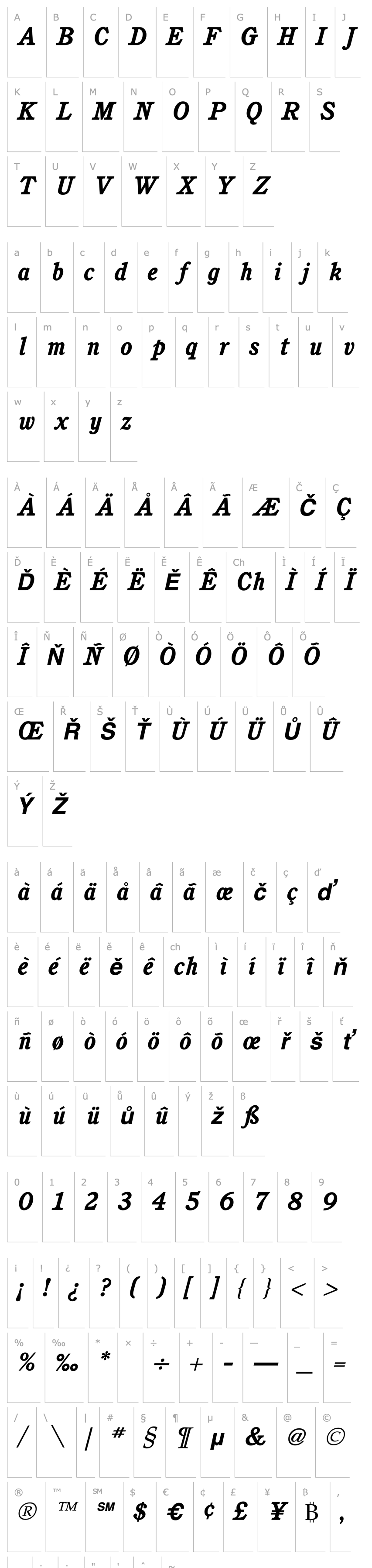 Overview Cushing Bold Italic