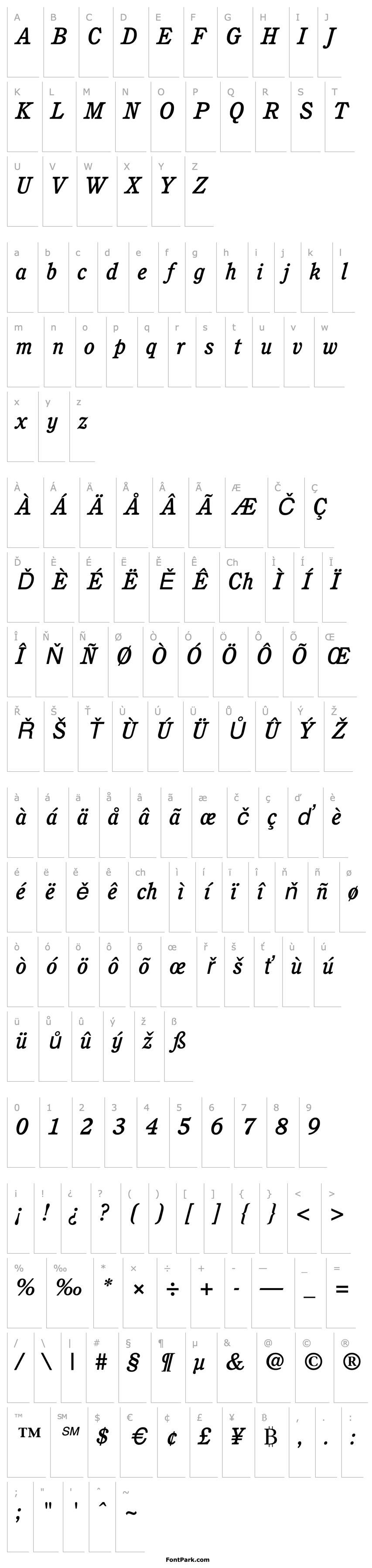 Overview Cushing MediumItalic