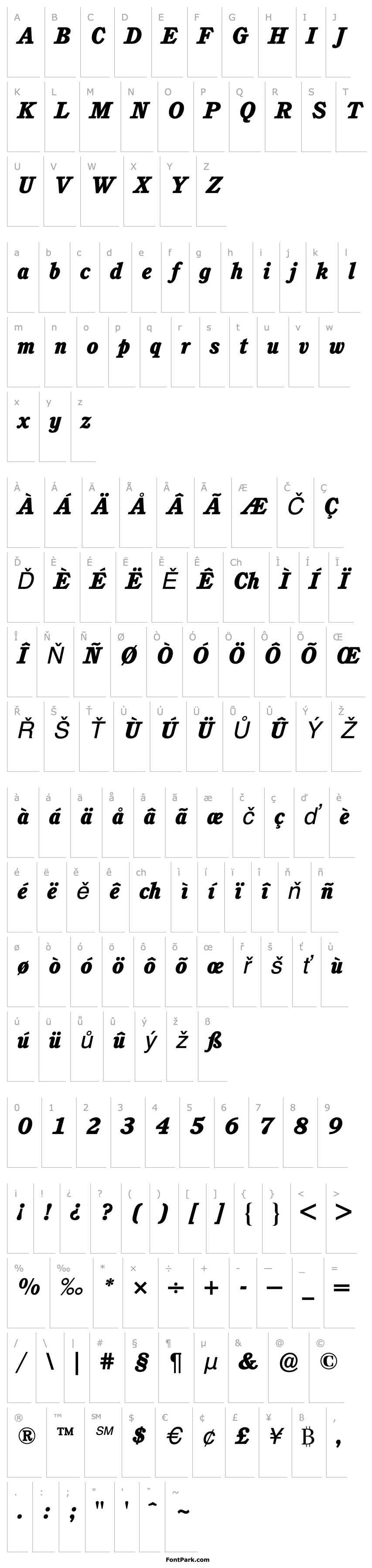 Přehled CushingBQ-HeavyItalic