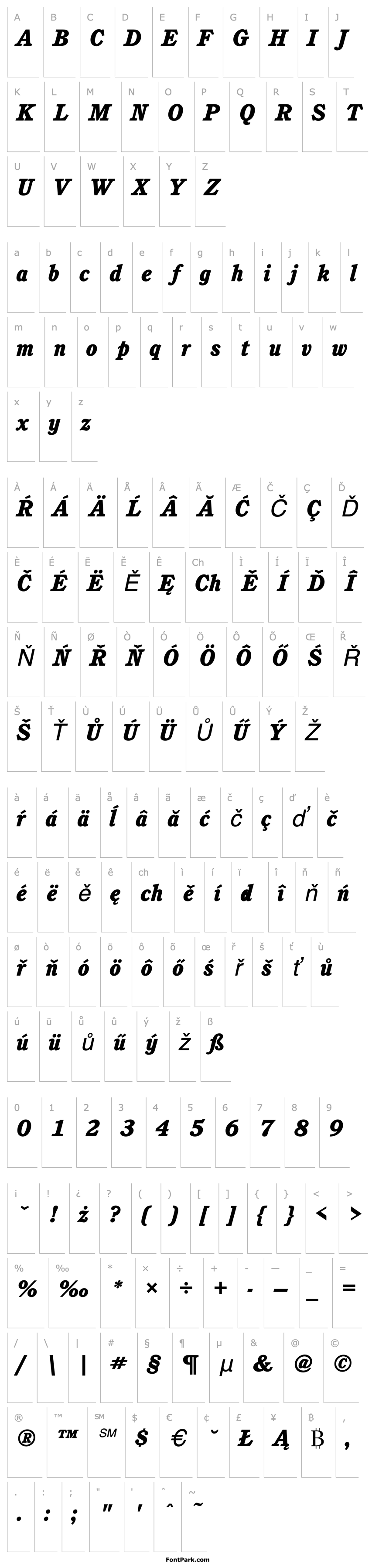 Přehled CushingItcTEEHea Italic