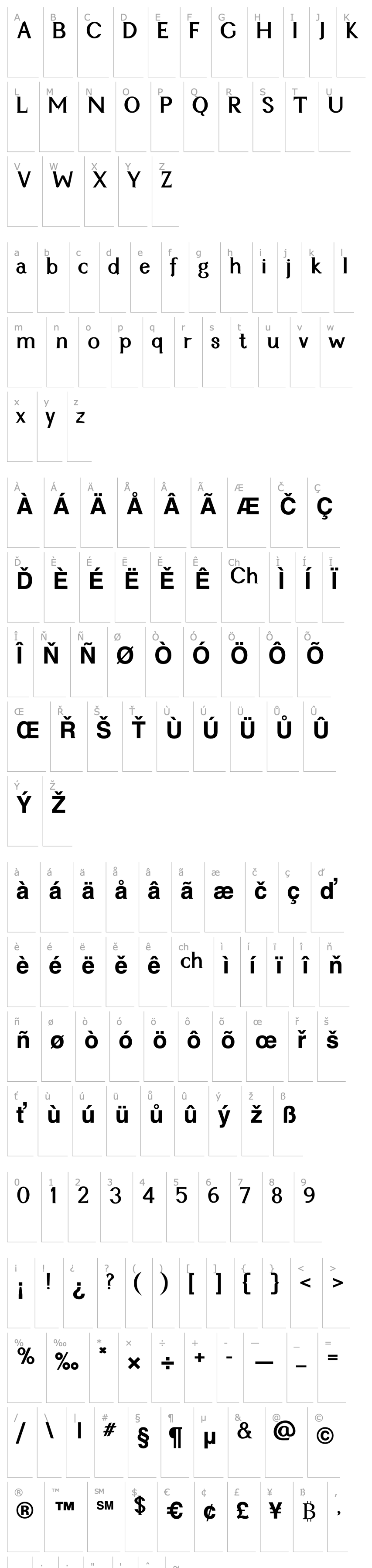 Overview Cyn Regular Bold