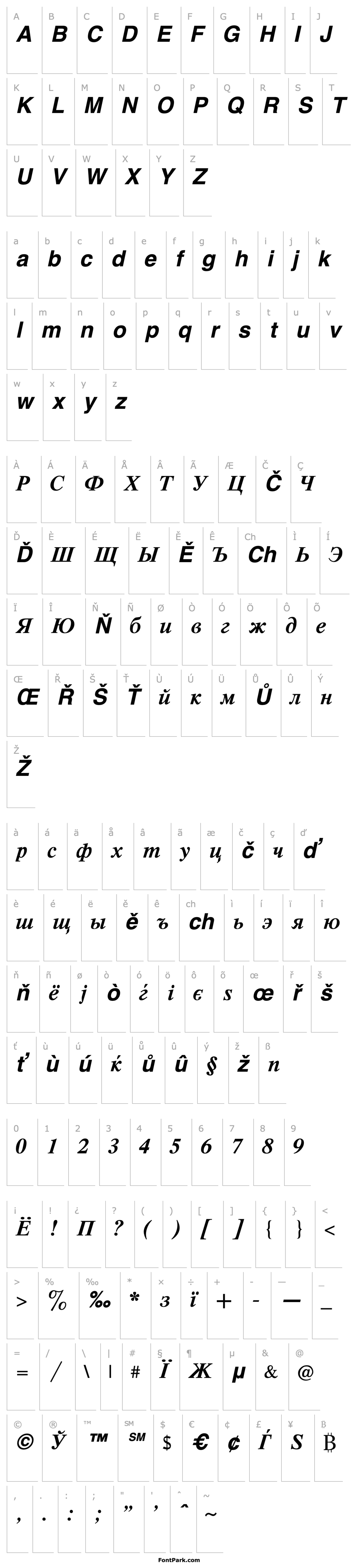 Overview CyrillicTimes Bold Italic