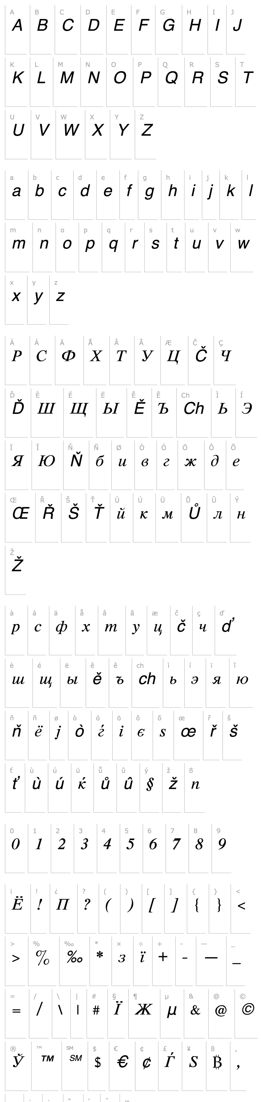 Overview CyrillicTimes Italic