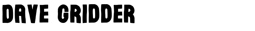 Preview Dave Gridder