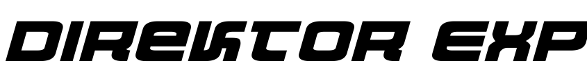 Preview Direktor Expanded Italic