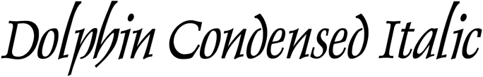 Preview Dolphin Condensed Italic