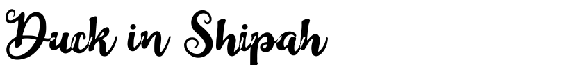 Preview Duck in Shipah