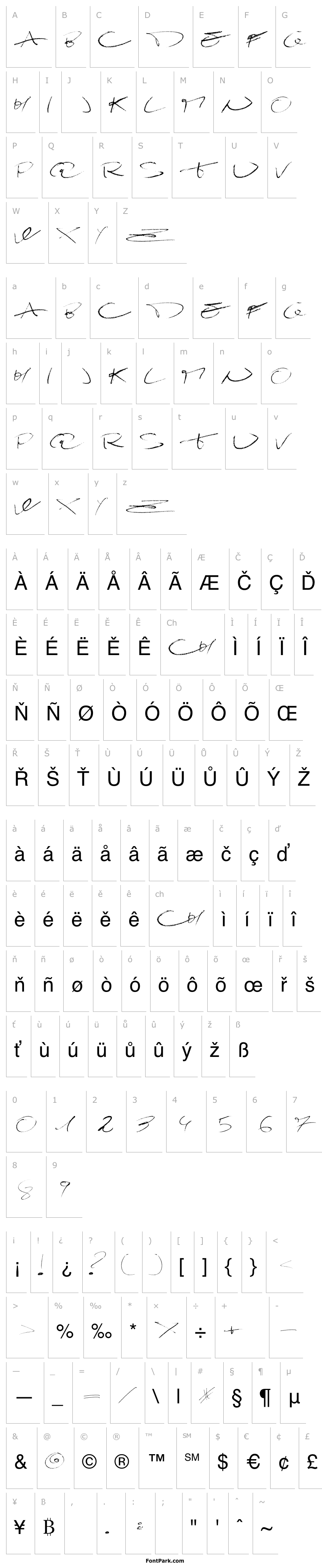 Přehled Damagrafik Script Regular