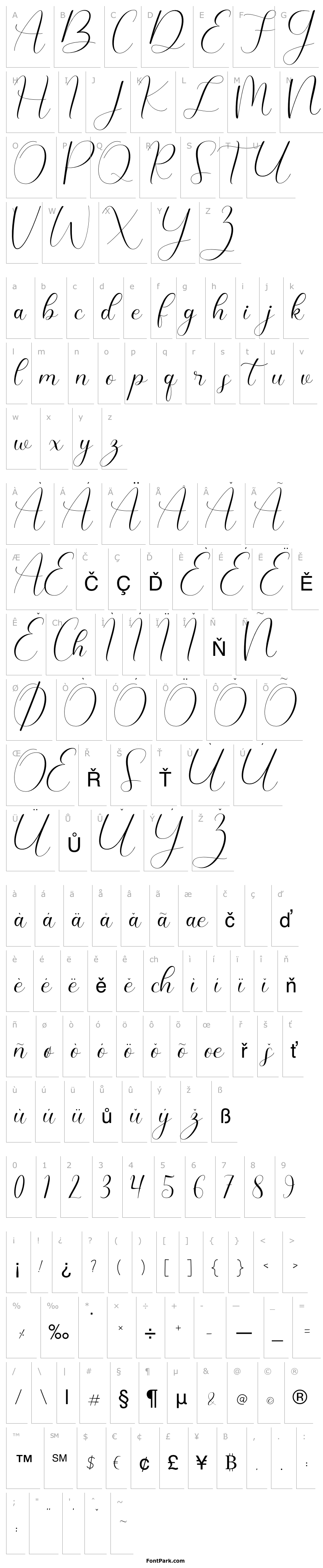 Přehled Dandelions Bloom