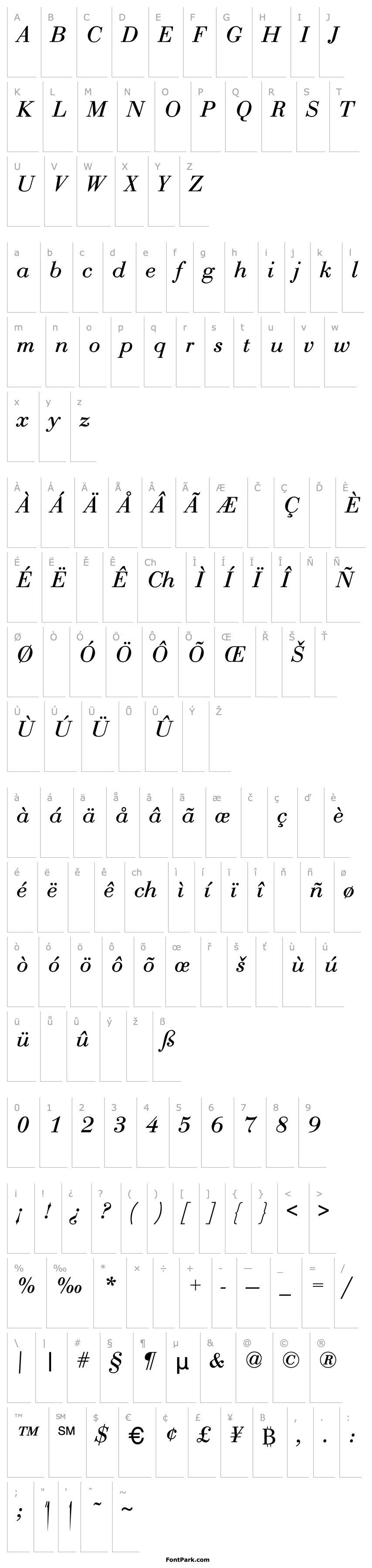 Overview Dave Italic