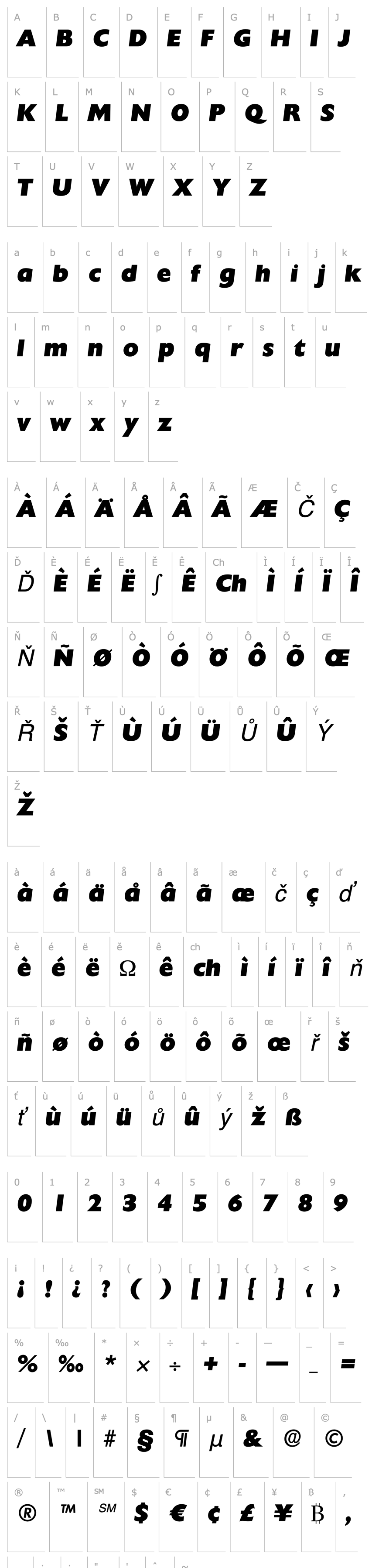 Overview DavidBecker-Heavy Italic