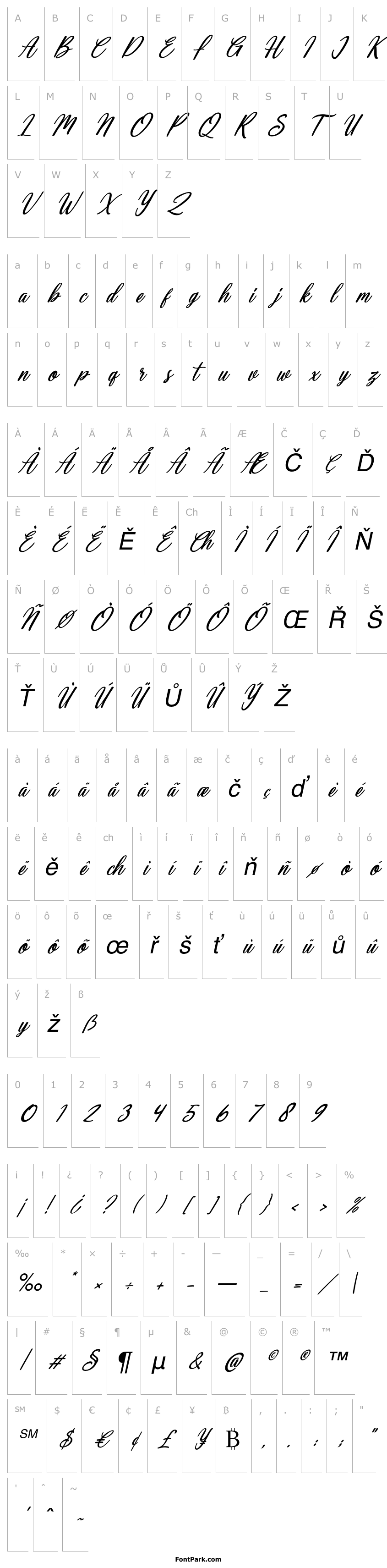 Overview Deallisa Italic