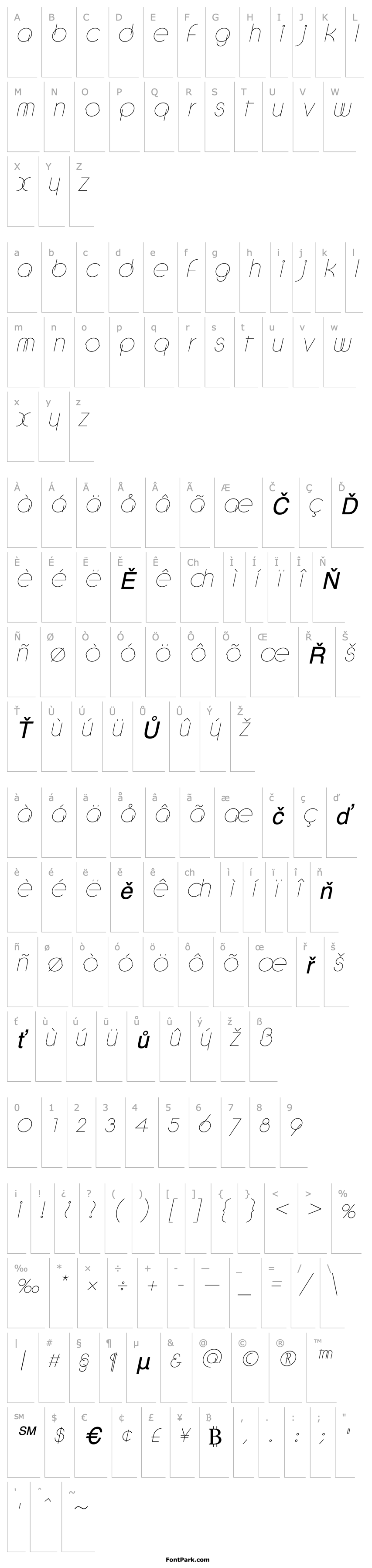 Overview DebevicCircular Italic