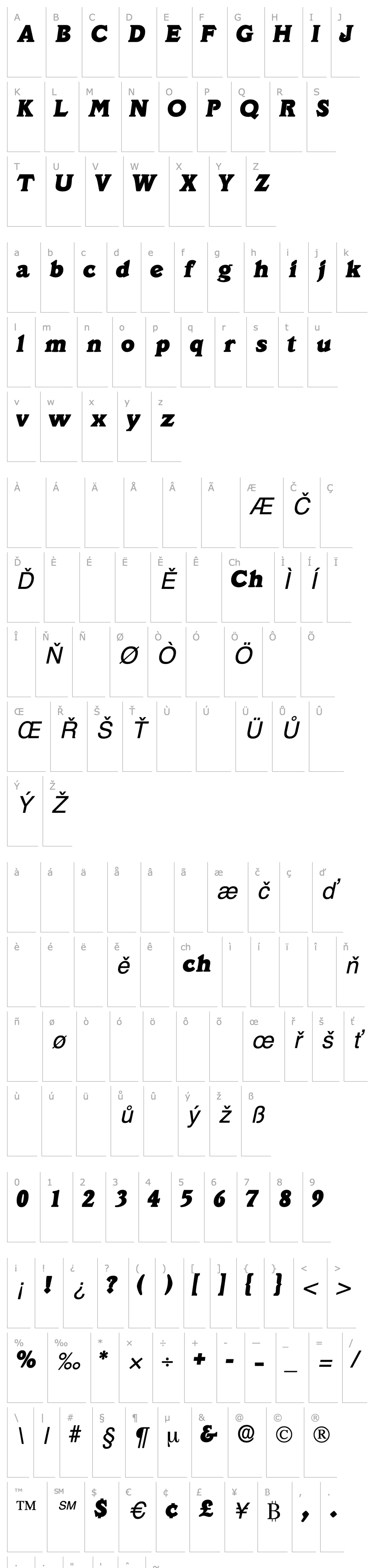 Overview DecusSSK Italic