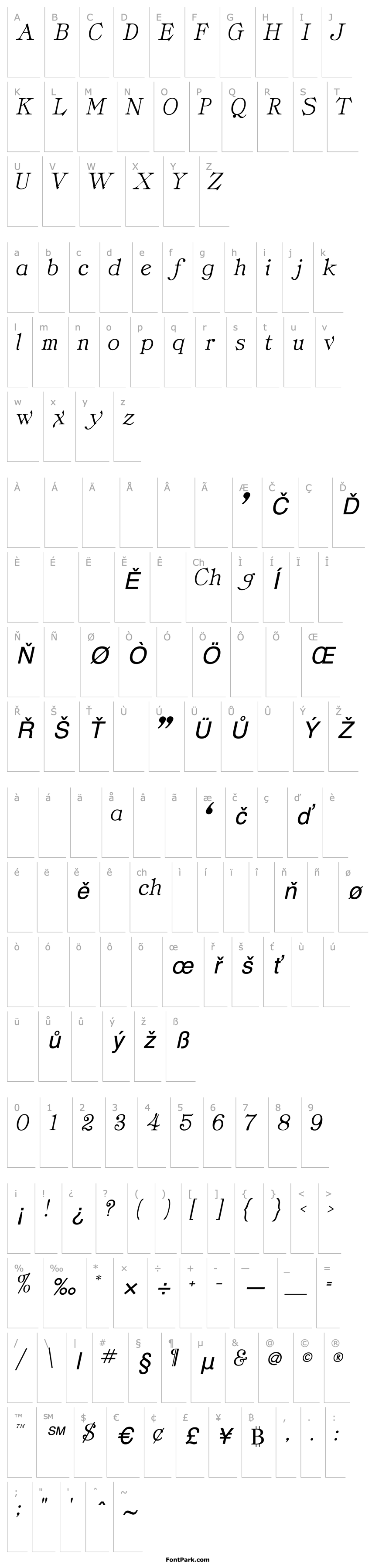 Přehled DelectSSK Italic