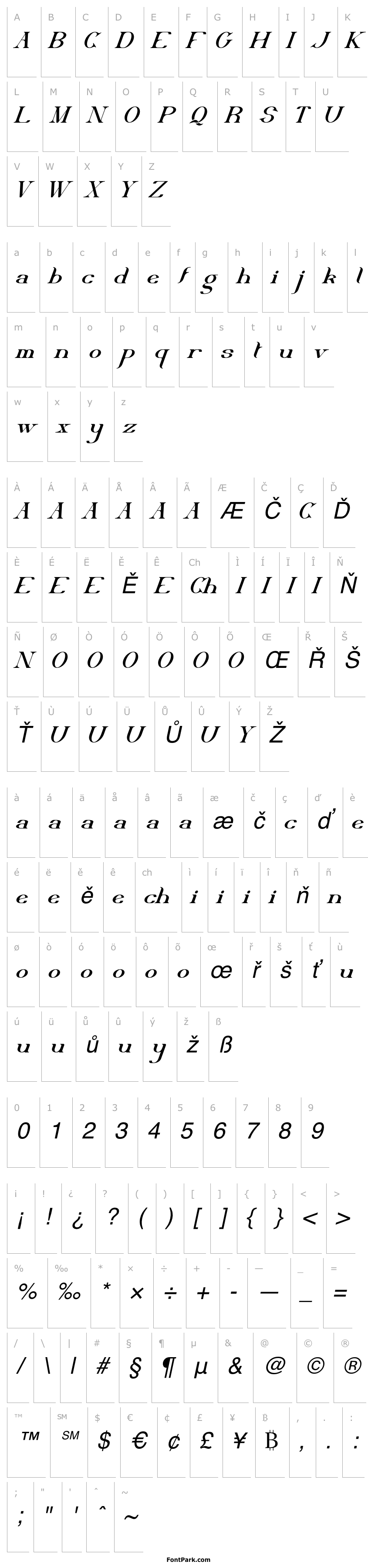 Přehled Delith Demo Italic