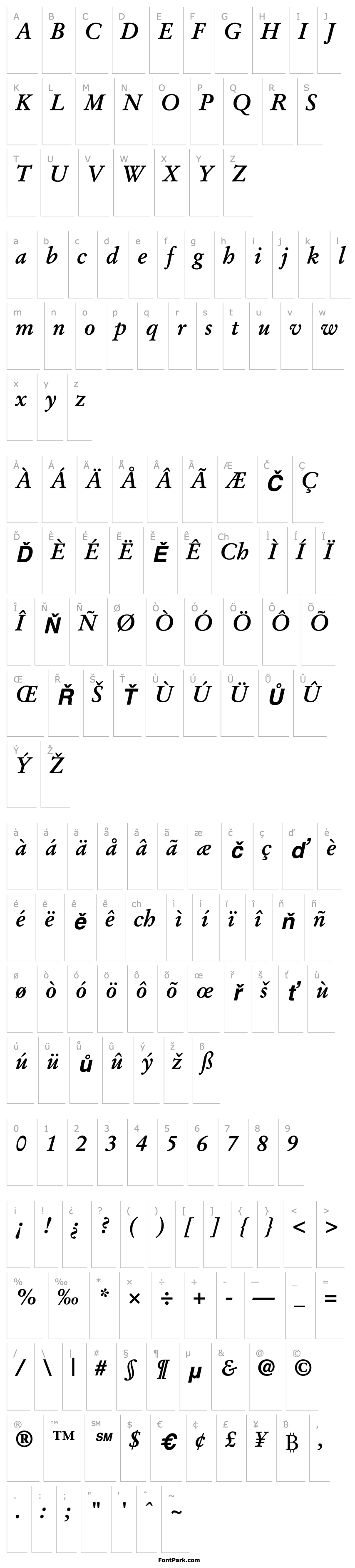 Přehled Deutch Garamond SSi Bold Italic