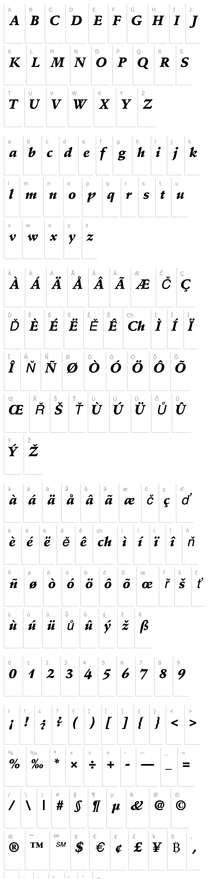 Přehled DeutchBlackSSK Italic