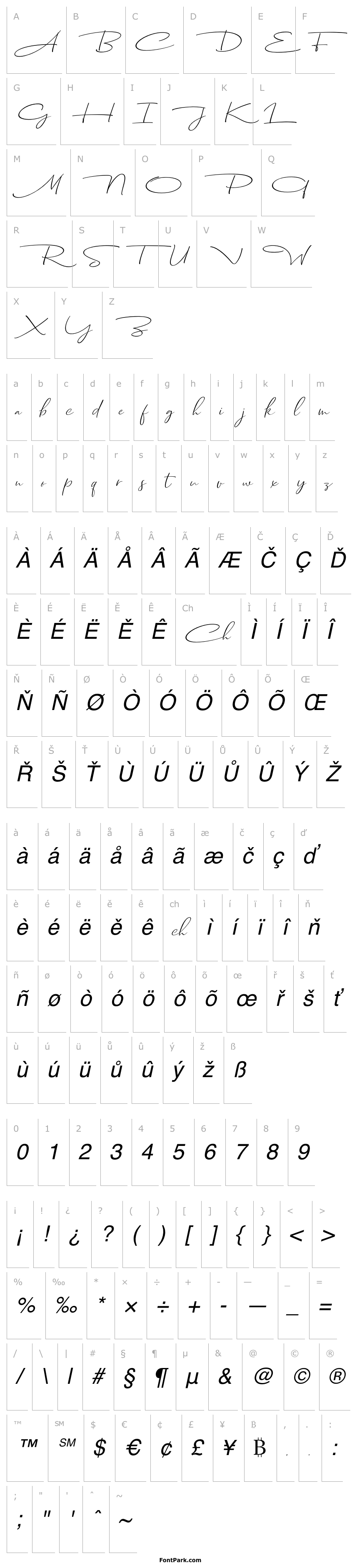 Přehled Dhanikans Signature Italic Italic