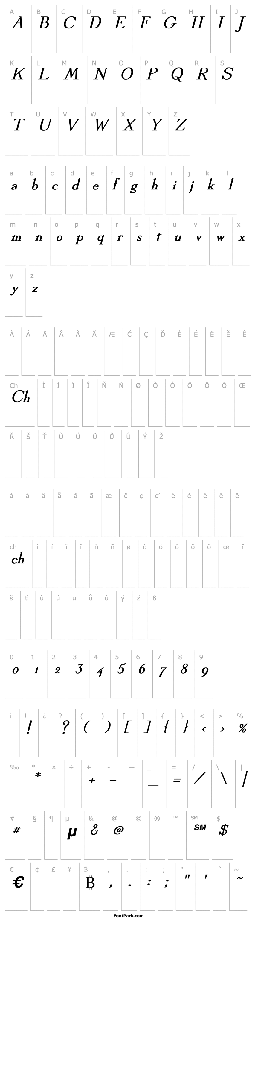 Overview Dickens Bold Italic