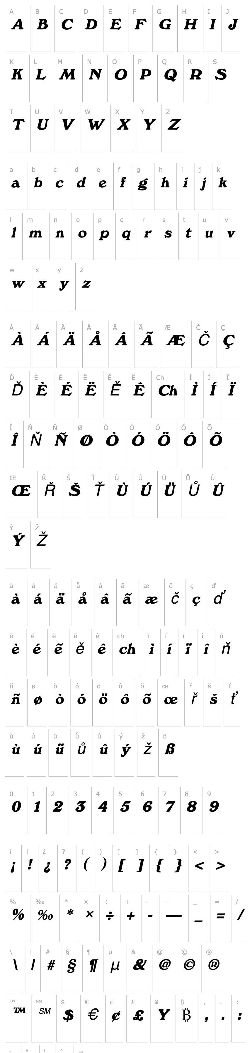 Přehled Dictionary  Italic