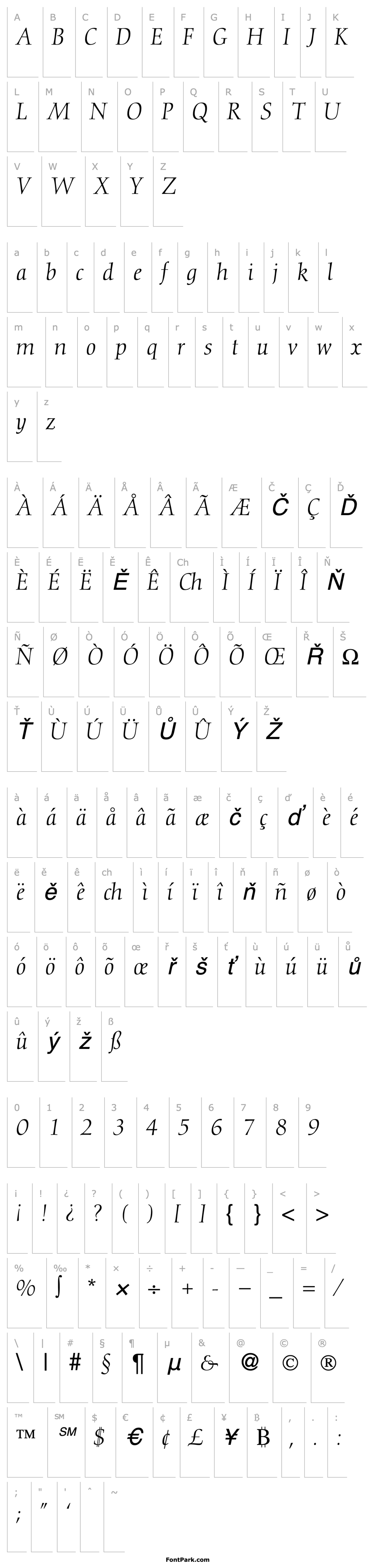 Přehled Dioscur-RegularItalic