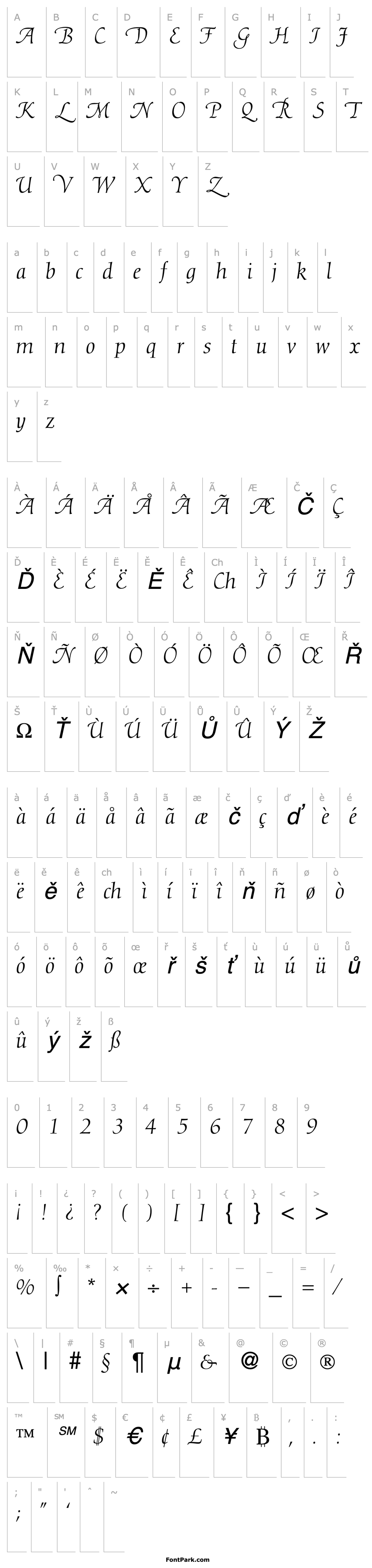 Přehled DioscurSwash-RegularItalic