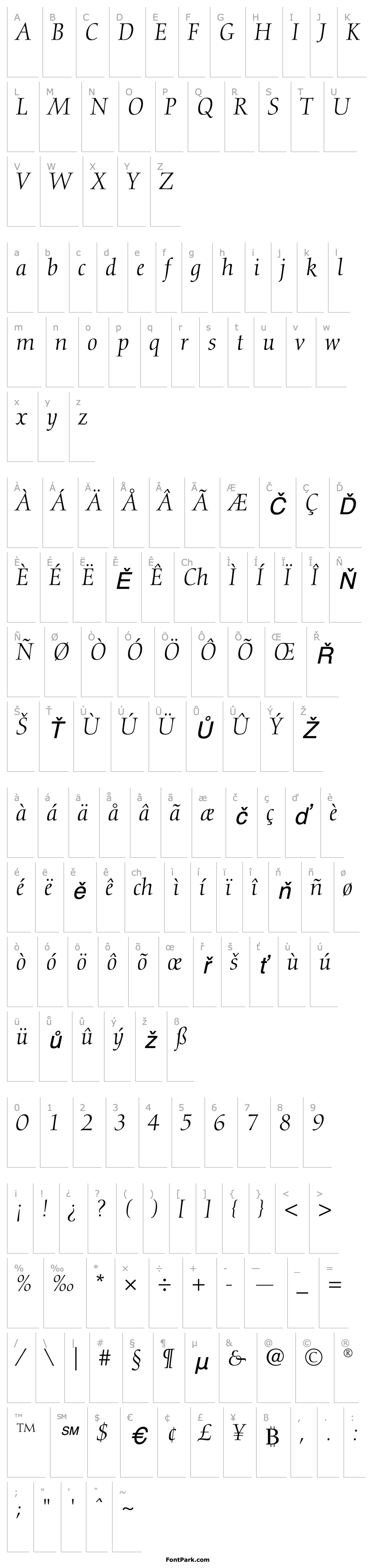 Přehled Diotima-Italic