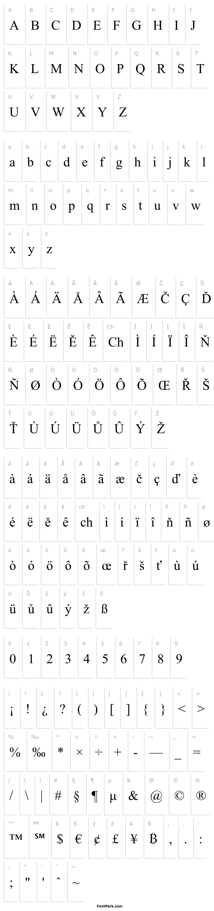 Přehled DirektorItalic