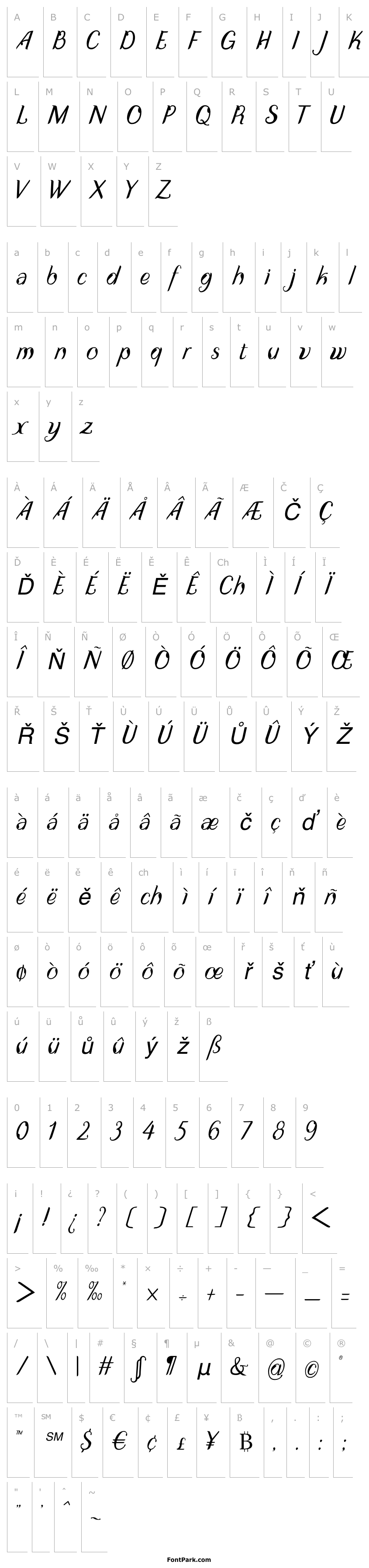 Přehled DisguiseDisplaySans-Italic