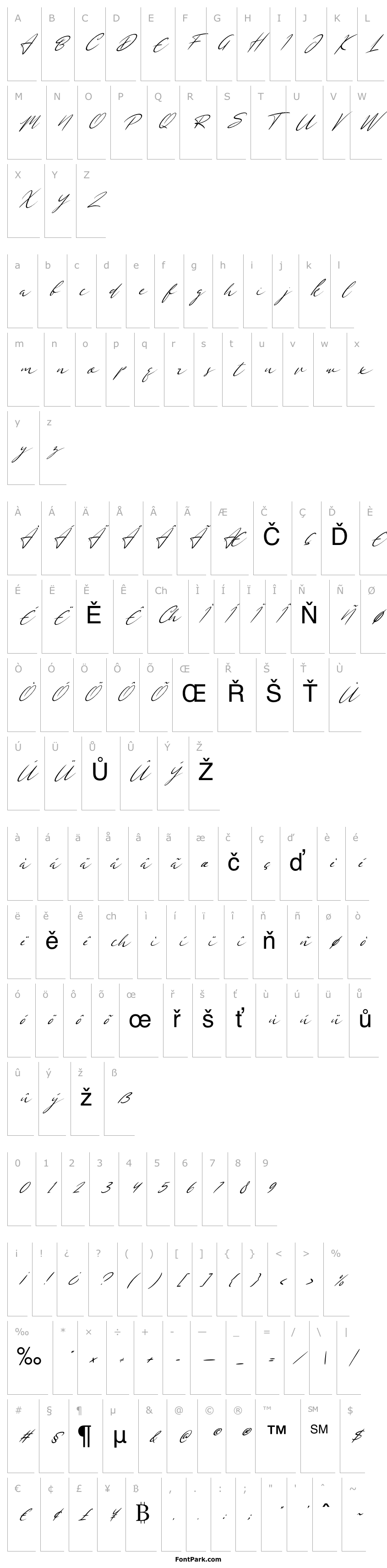 Přehled Divalia Italic