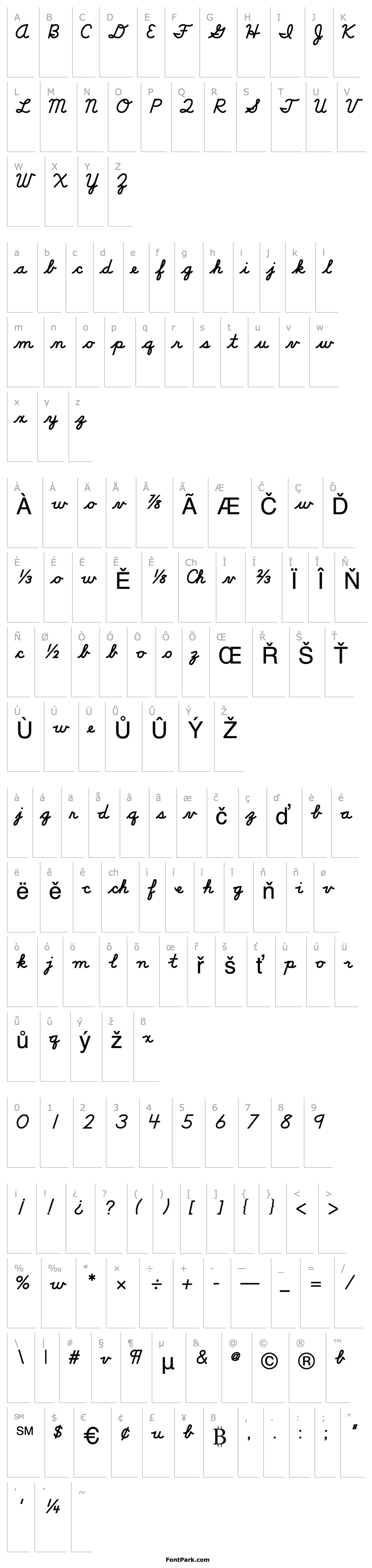 Přehled DN Cursive Bold