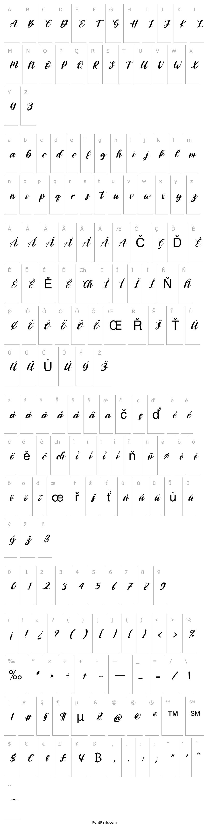 Přehled Dobbystar Italic