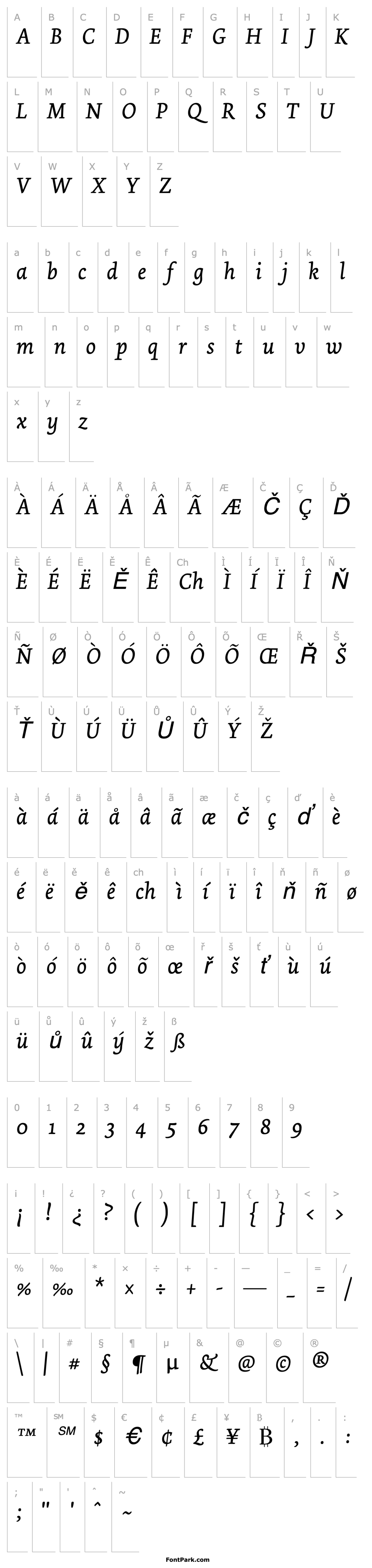 Overview Dolly-Italic