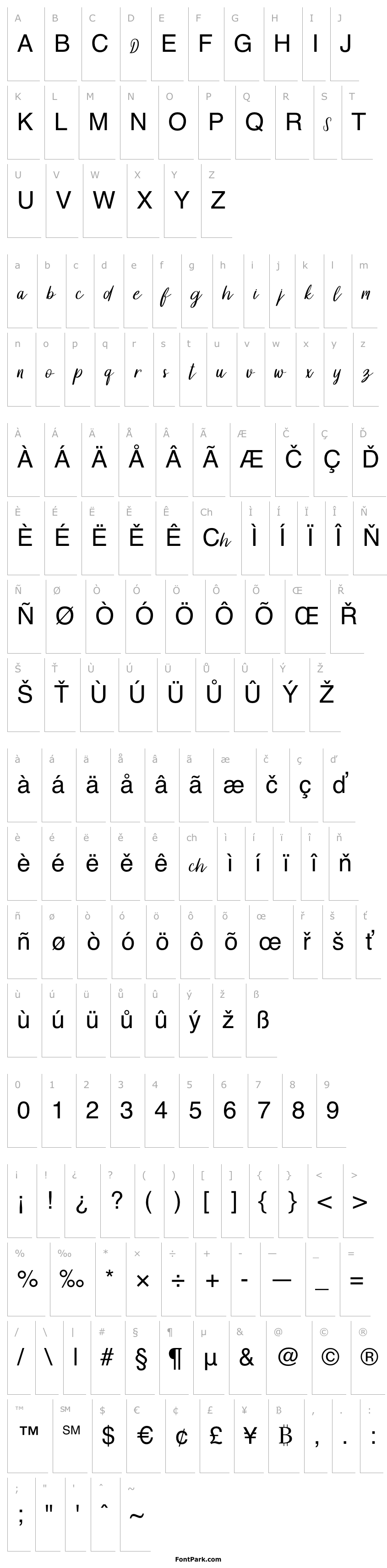 Přehled Dollyn Script DEMO Regular