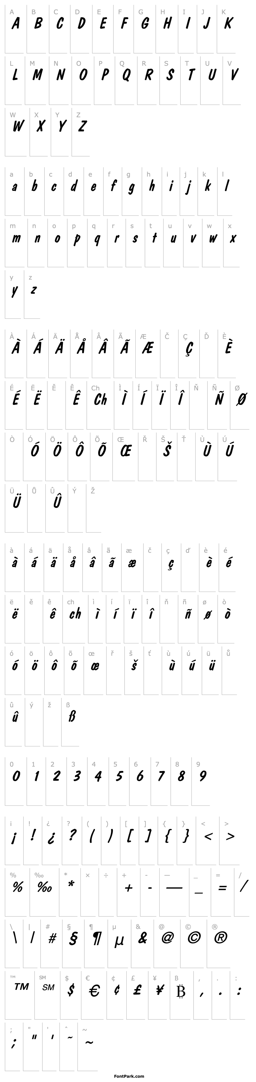 Přehled DomCasual Italic