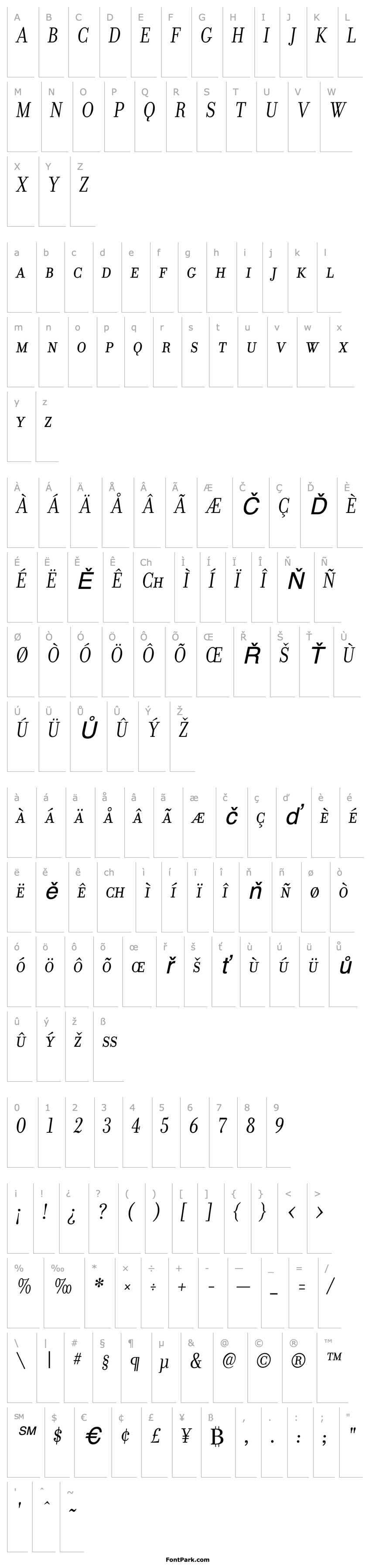 Přehled Donatora Display SC Italic