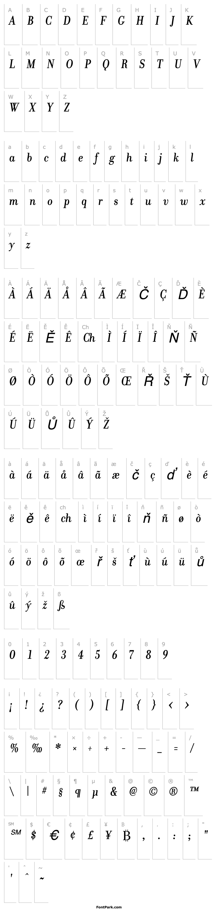 Přehled Donatora Medium Italic